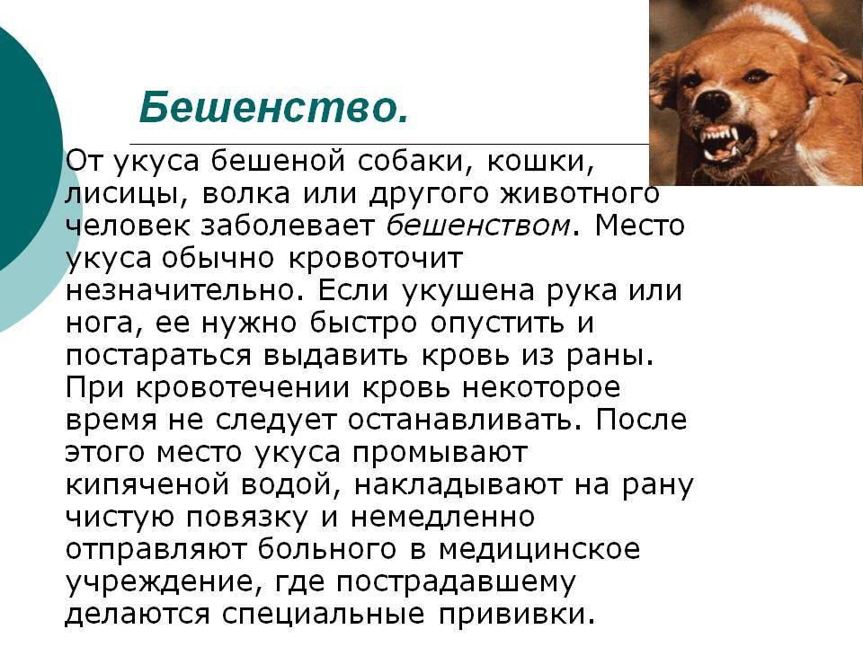 Бешенство у человека