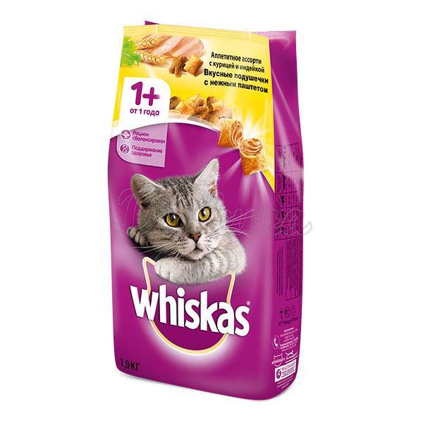 Корм вискас: что добавляют в состав продукта, и почему котят и кошек нельзя кормить вискасом?