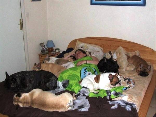Собака спит с хозяином в одной постели: что это значит