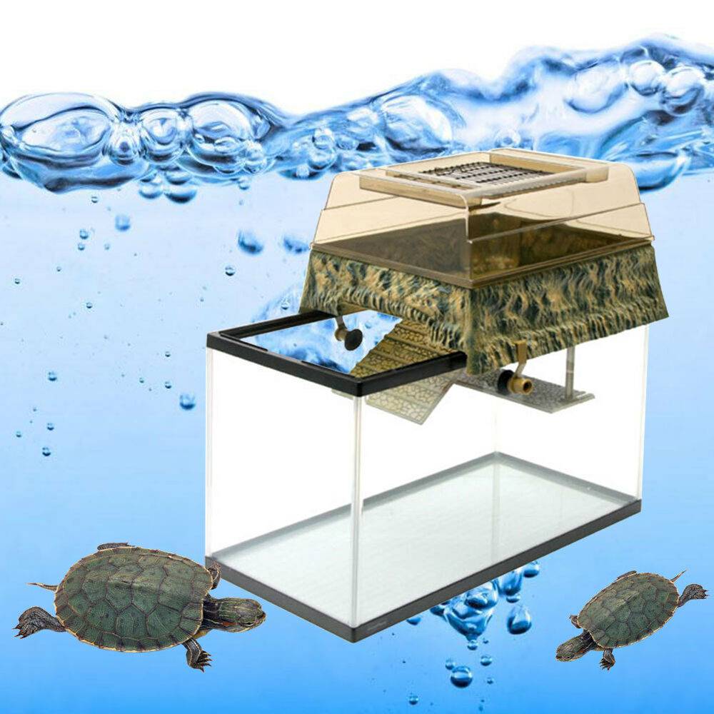 Островок для красноухой черепахи, оформление аквариума