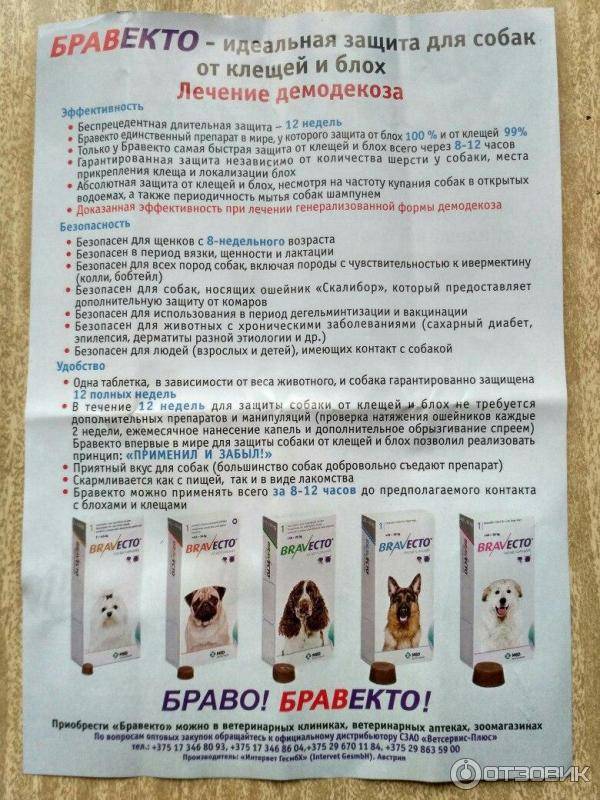 Бравекто для собак – подробная инструкция по применению таблеток и капель, обзор аналогов препарата. предупреждение агентства санитарного контроля сша