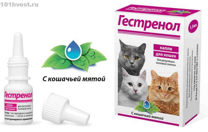 Инструкция по применению каплей гестренол для кошек