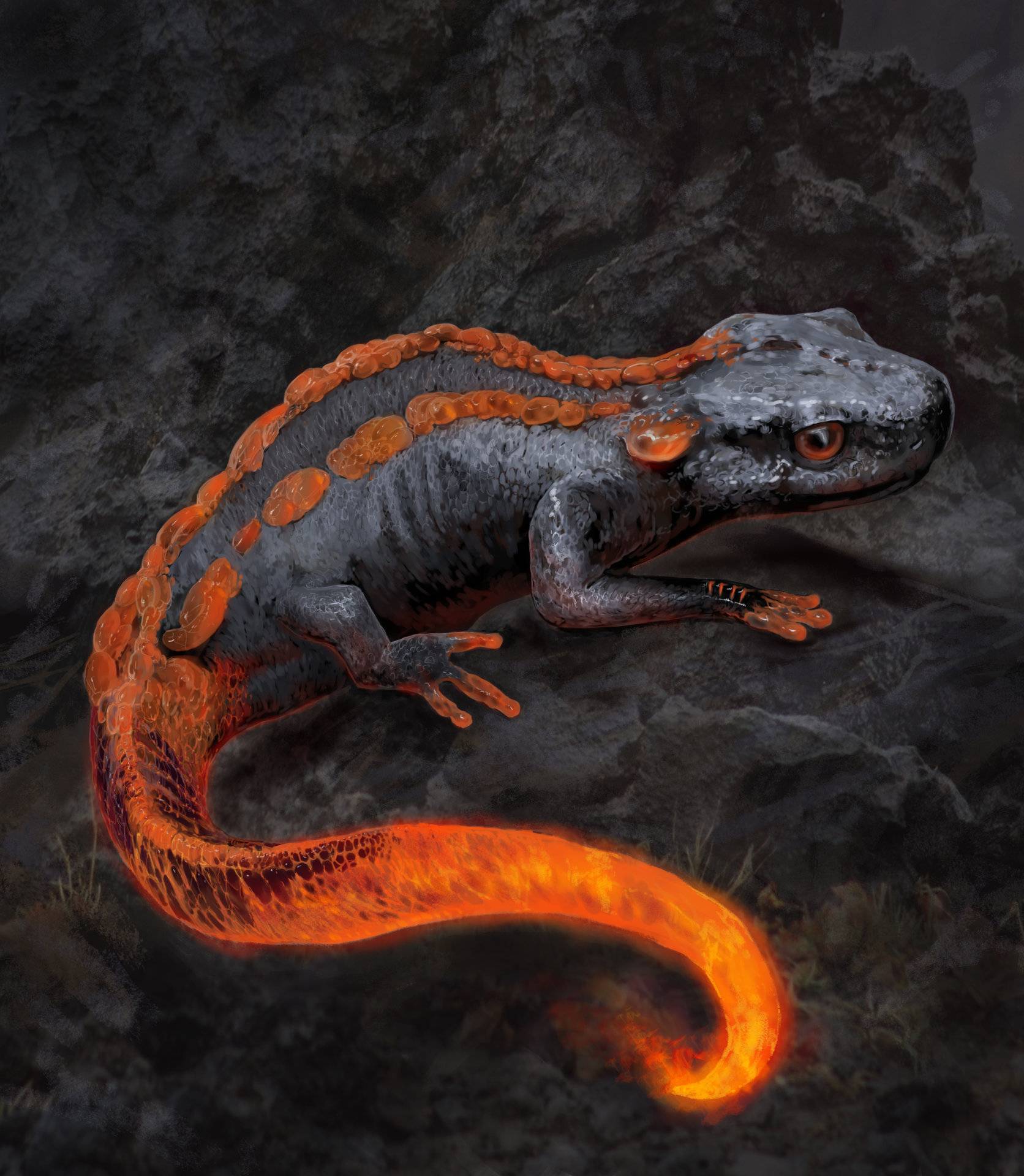 Саламандра - огненная ящерица