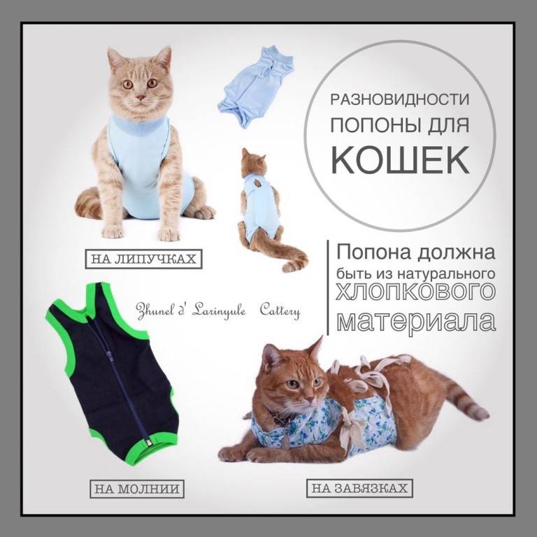 Одежда для кошек своими руками