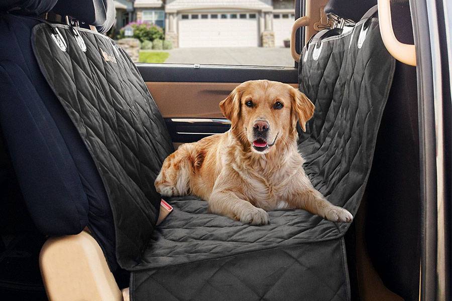 Выбор лучшего гамака для собак в автомобиль