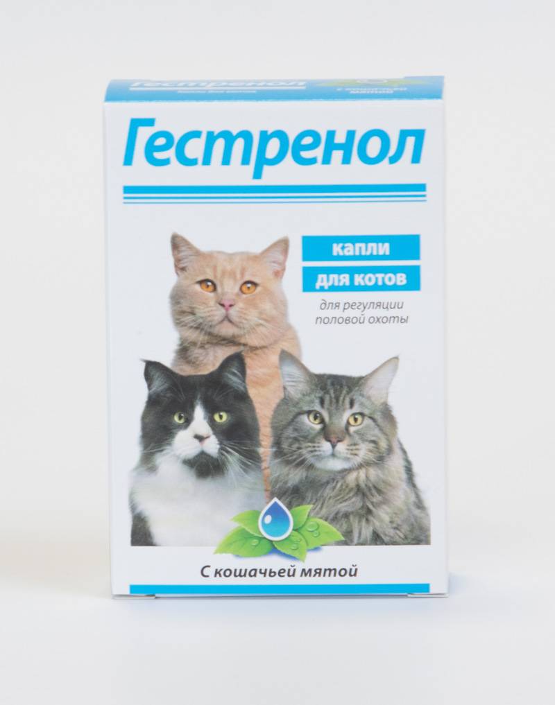 "гестренол" - капли для кошек: инструкция по применению, состав и эффективность