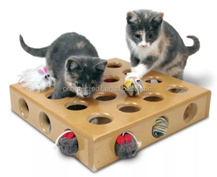 Обзор самых лучших развивающих игрушек для интеллекта у кошек и котят