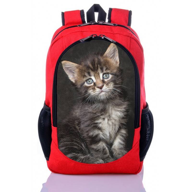 Примеры переносок для котов: рюкзаки, сумки, портфели и другие виды