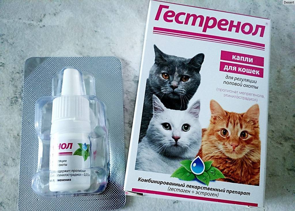 Инструкция по применению капель и таблеток для кошек и котов «гестренол»