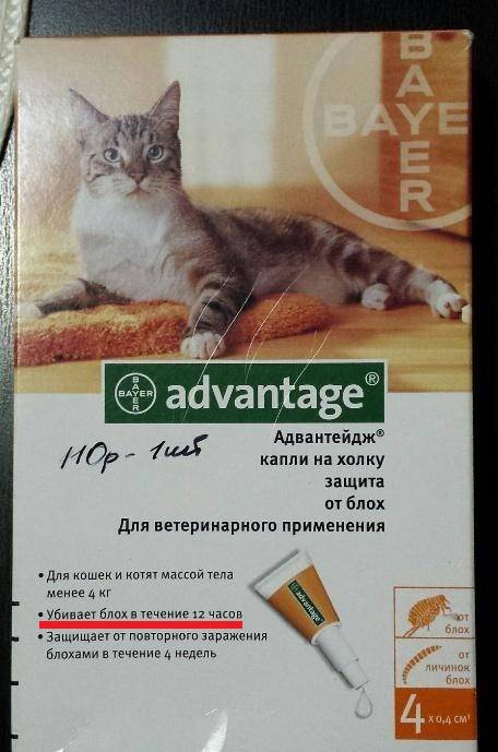 Адвантейдж для кошек: инструкция по применению, отзывы