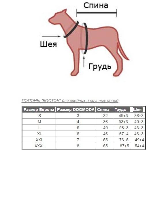 Как определить размер одежды и обуви собаки
