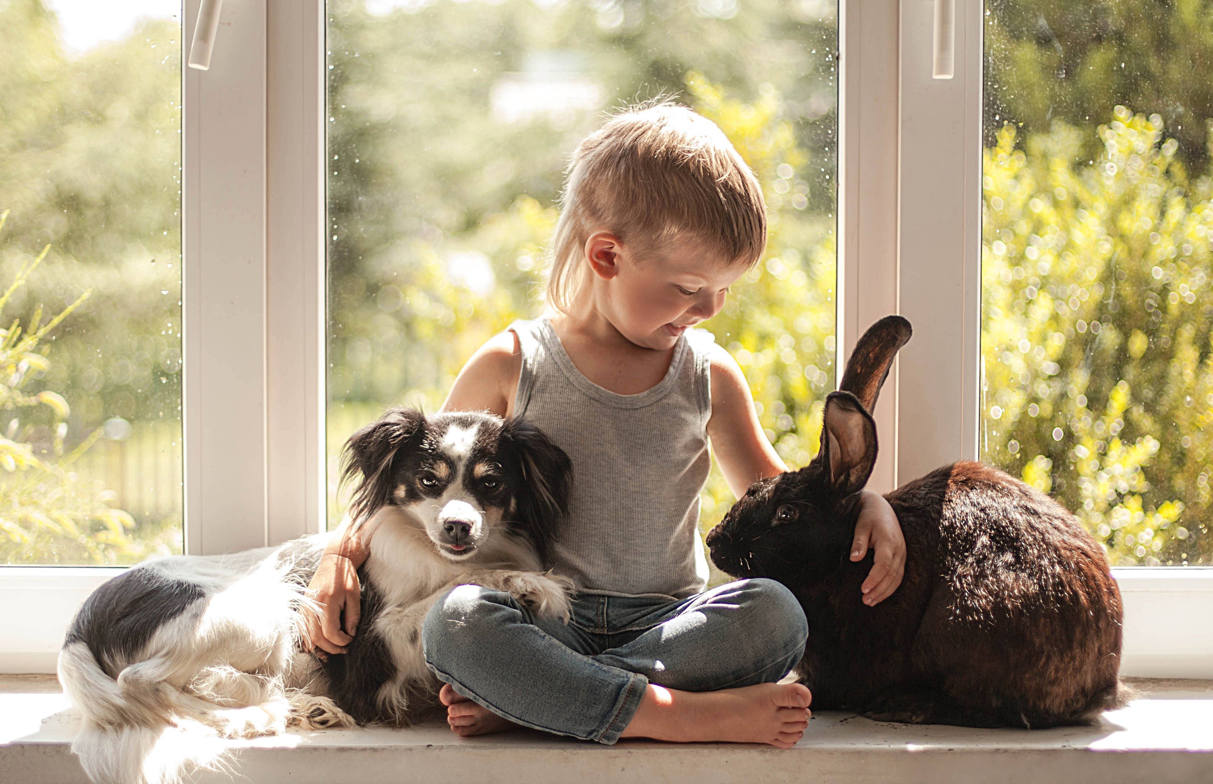 Лучшие породы собак для детей - для квартиры и частного дома с фото и описанием | petguru