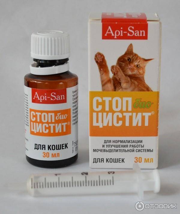 Препарат стоп цистит для кошек: эффективное средство при воспалительных заболеваниях мочевого пузыря и почек