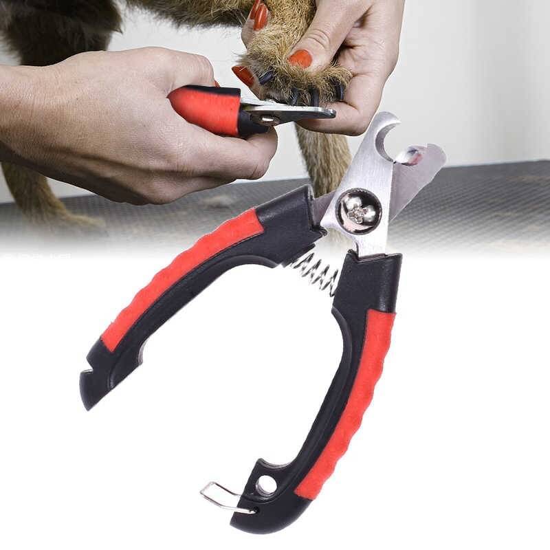 Когтерезка для кошек - специальные ножницы для стрижки когтей: правила выбора и использования когтереза