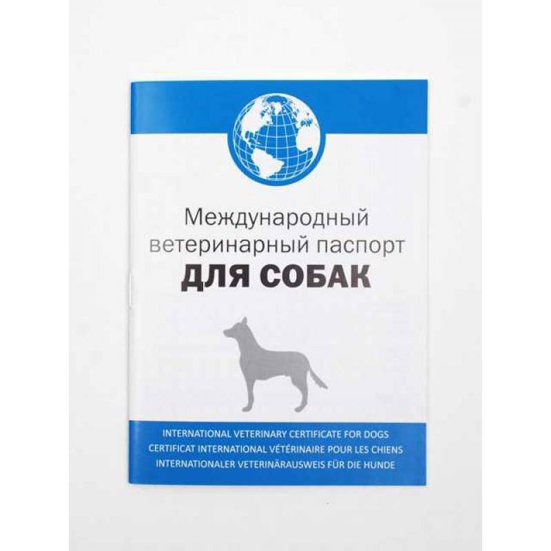 Международный ветеринарный паспорт для собак, образец: вид животного в ветпаспорте