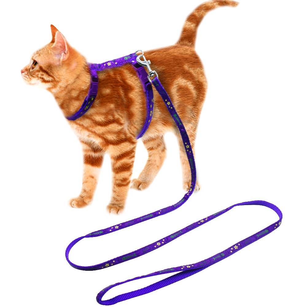 Как правильно одевать шлейку на кошку для прогулки, а также — как ее собрать