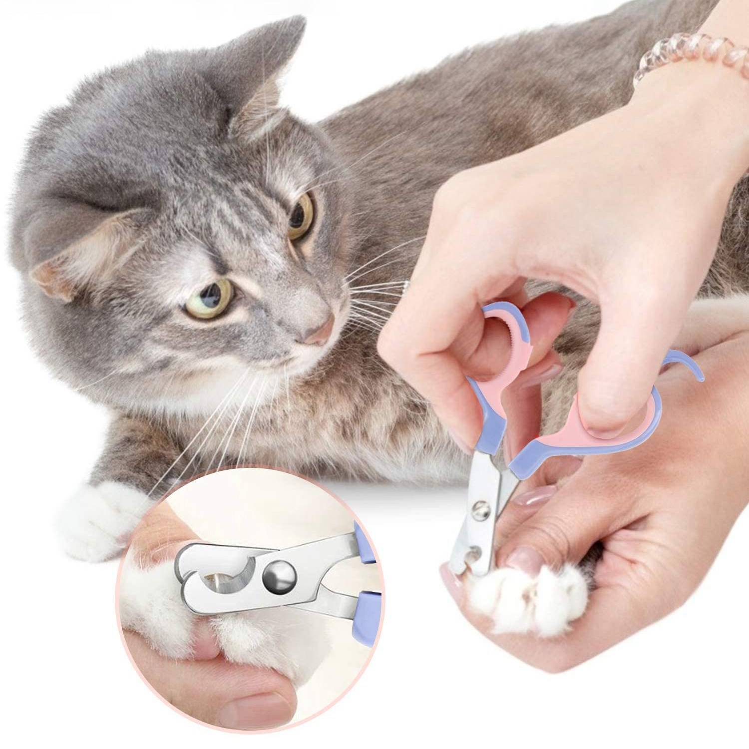 Накладки на когти для кошек - что это такое и для чего они нужны