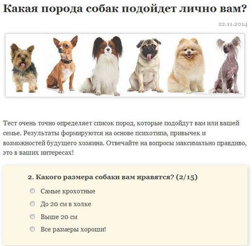 Самые послушные породы собак – pet-mir.ru