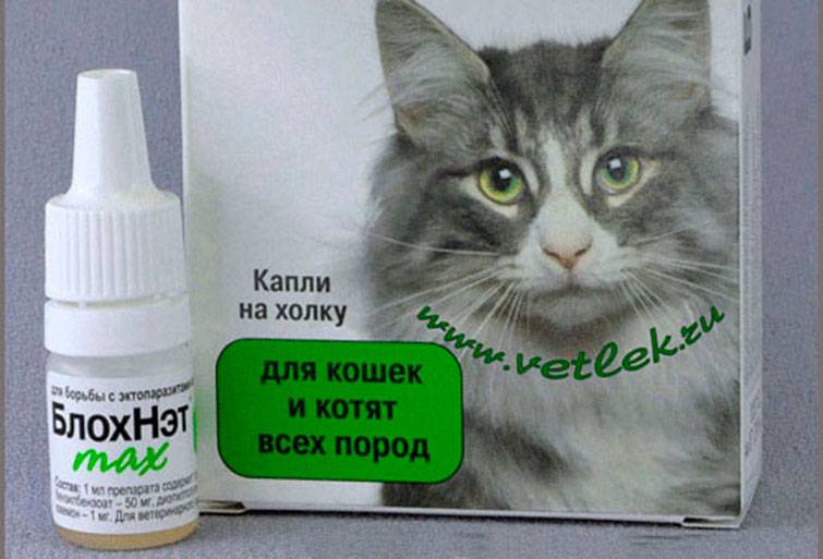 «блохнэт» для кошек: инструкция по применению, дозировка, показания и противопоказания, отзывы