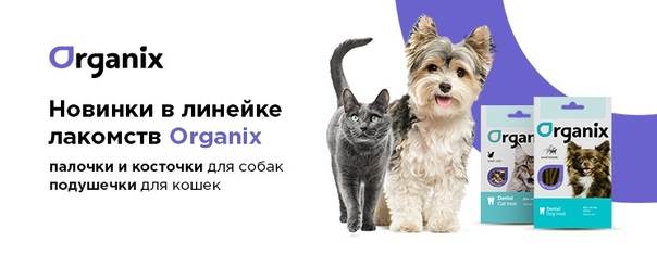 ᐉ обзор и отзывы корма для собак organix - ➡ motildazoo.ru
