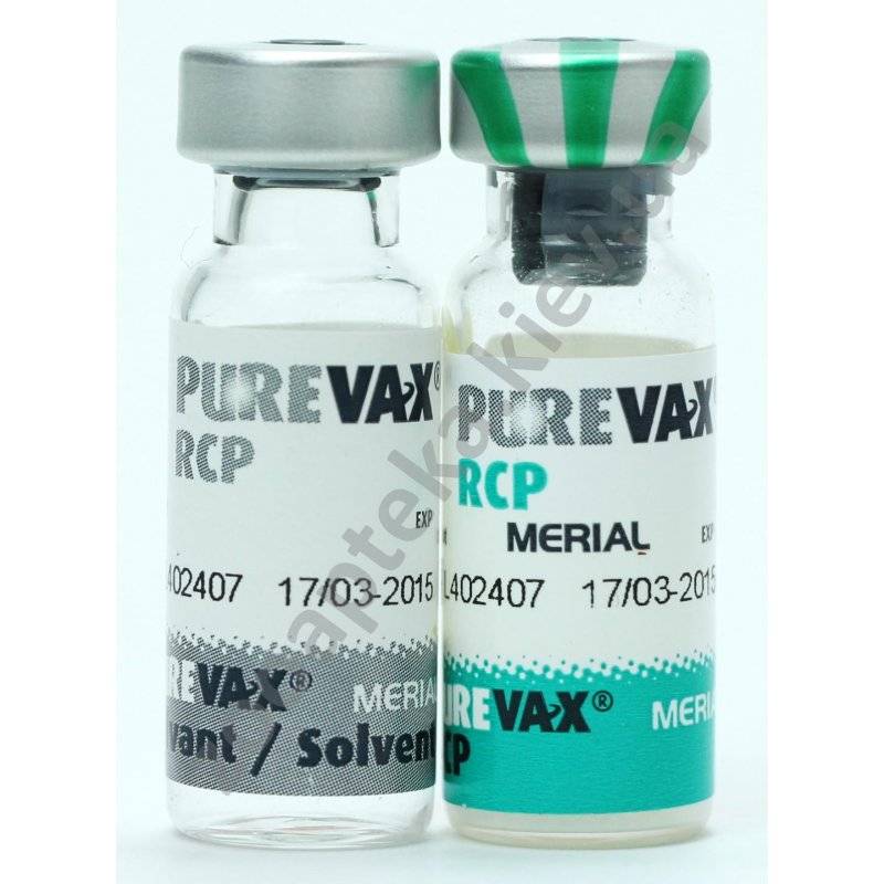 «пуревакс» вакцина для кошек: инструкция по применению, как сделать прививку кошке самостоятельно, отзывы