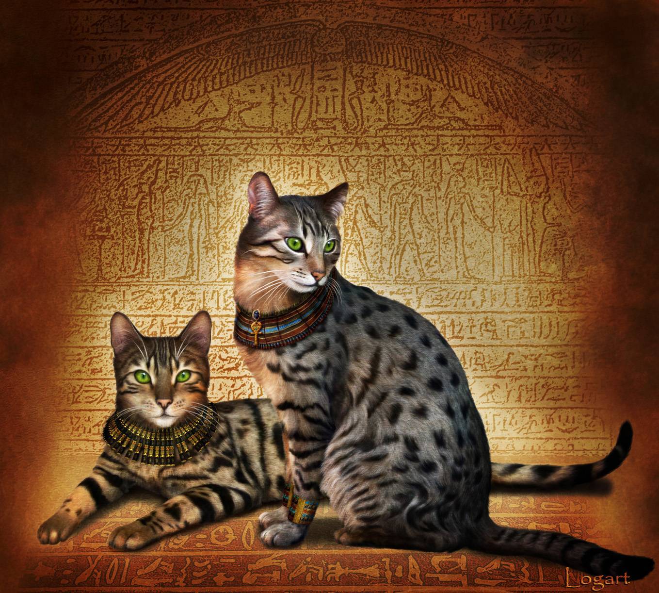 Египетская мау. Египетская МАУ кошка. Порода кошек Египетская МАУ. Египетская кошка Мем. Египетская МАУ дымчатая.