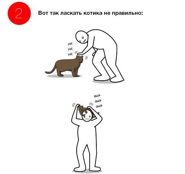 Как правильно гладить кошку