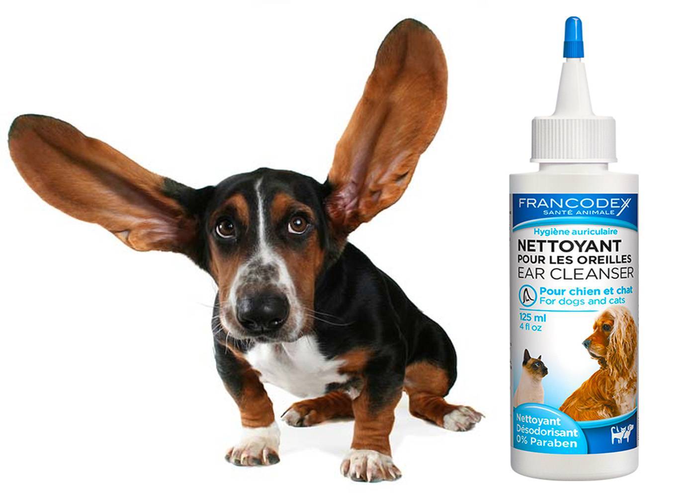 Как правильно чистить уши животным