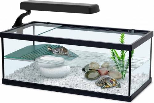ᐉ как сделать аквариум (акватеррариум) для красноухой черепахи своими руками в домашних условиях - zoopalitra-spb.ru