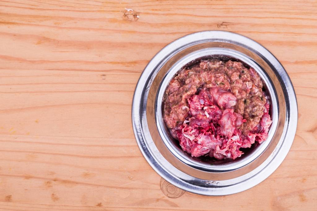 Сухой корм и мясо собакам: можно ли давать вместе?