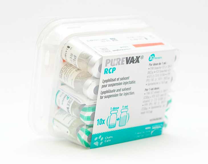 Вакцина пуревакс: защита кошки от пяти опасных болезней