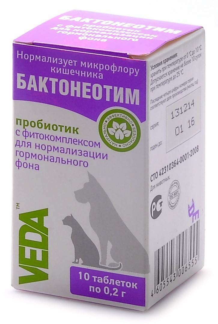 Пробиотики для кошек: принцип действия, инструкция по применению, популярные марки