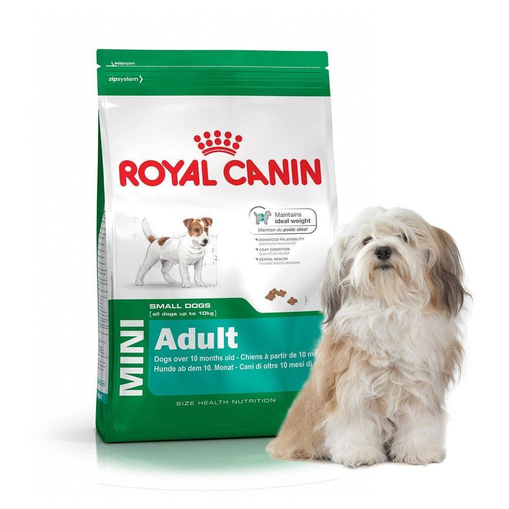 Обзор всей линейки кормов от фирмы royal canin для взрослой собаки и щенка