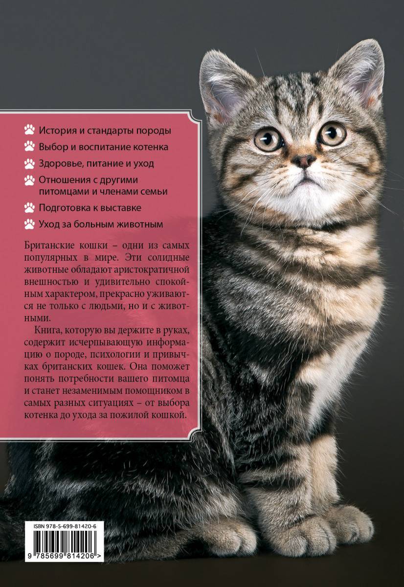 Породные стандарты сибирской кошки