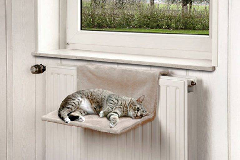 Пошаговая инструкция по изготовлению лежанки или другого спального места для кошки своими руками с фото и выкройками