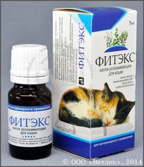 Снотворное для кошек: препараты, формы выпуска
