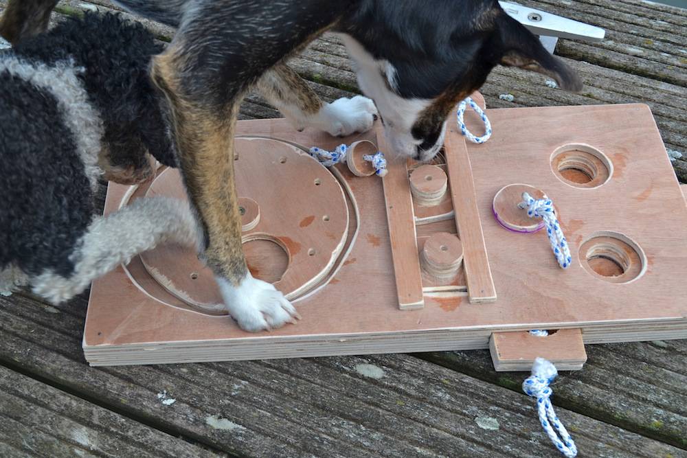 Игрушки для собак своими руками - из верёвки, интеллектуальные, как сшить