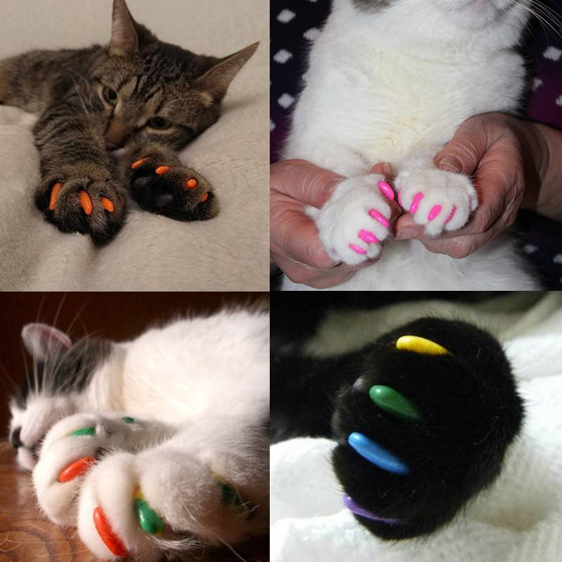 Антицарапки для кошек: отзывы ветеринаров, цены и фото с инструкцией