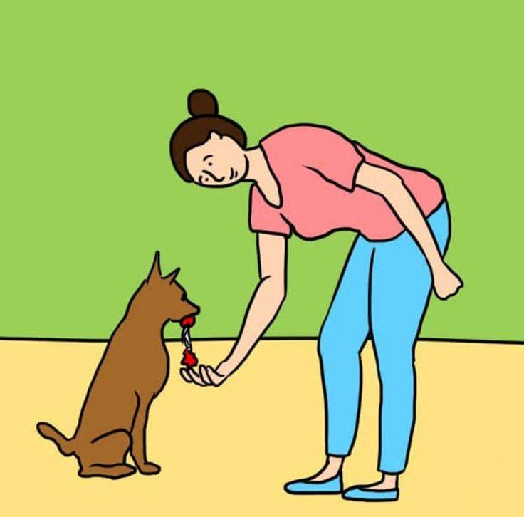 Почему собака лижет ноги