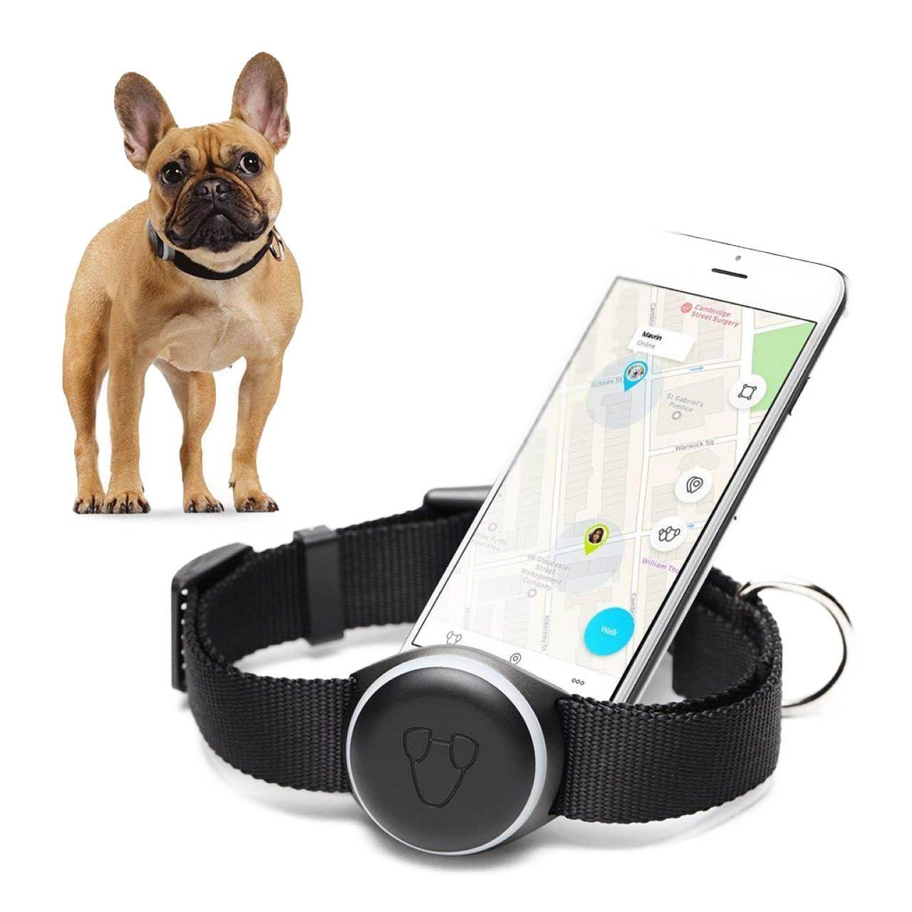 Метка для животных. Трекер Pet GPS Tracker. GPS ошейник "Dog x30t". Трекер Pet GPS Tracker для питомцев. Джипиэс трекер на ошейник для собаки.