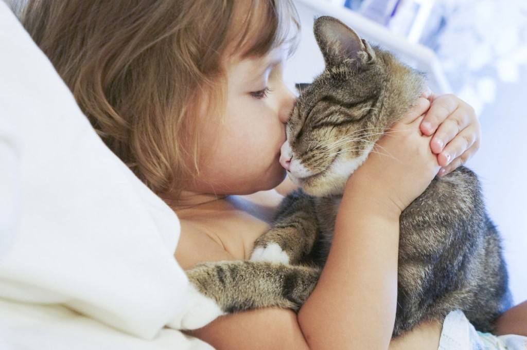 Как воспитывать котенка: 135 фото ухода и воспитания в домашних условиях