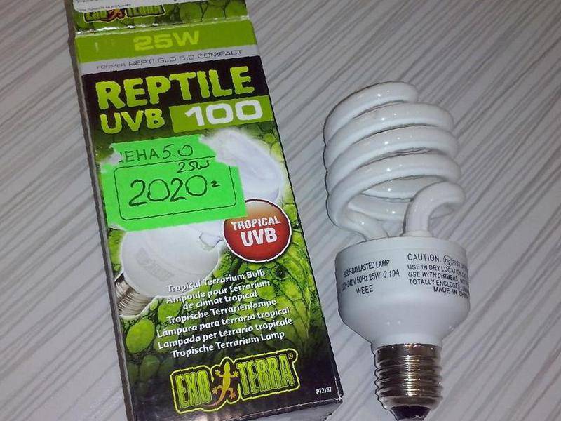 Как правильно выбрать ультрафиолетовую лампу для черепах