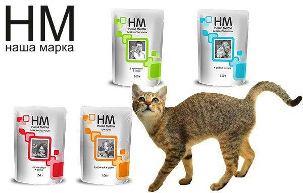 Корм для кошек наша марка отзывы ветеринаров