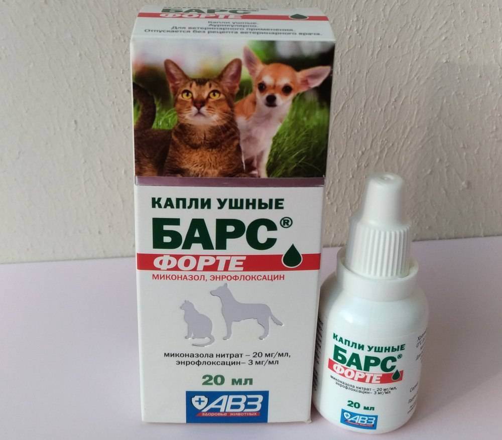 Ушной клещ у кошек: капли, лечение, эффективные препараты
