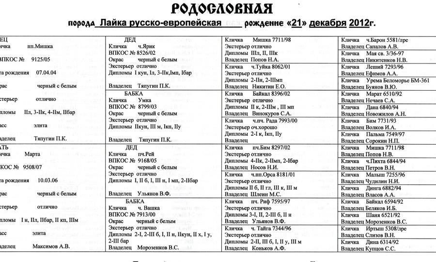 Как назвать западно-сибирскую лайку: клички для западно-сибирской лайки, список имен для мальчиков и девочек