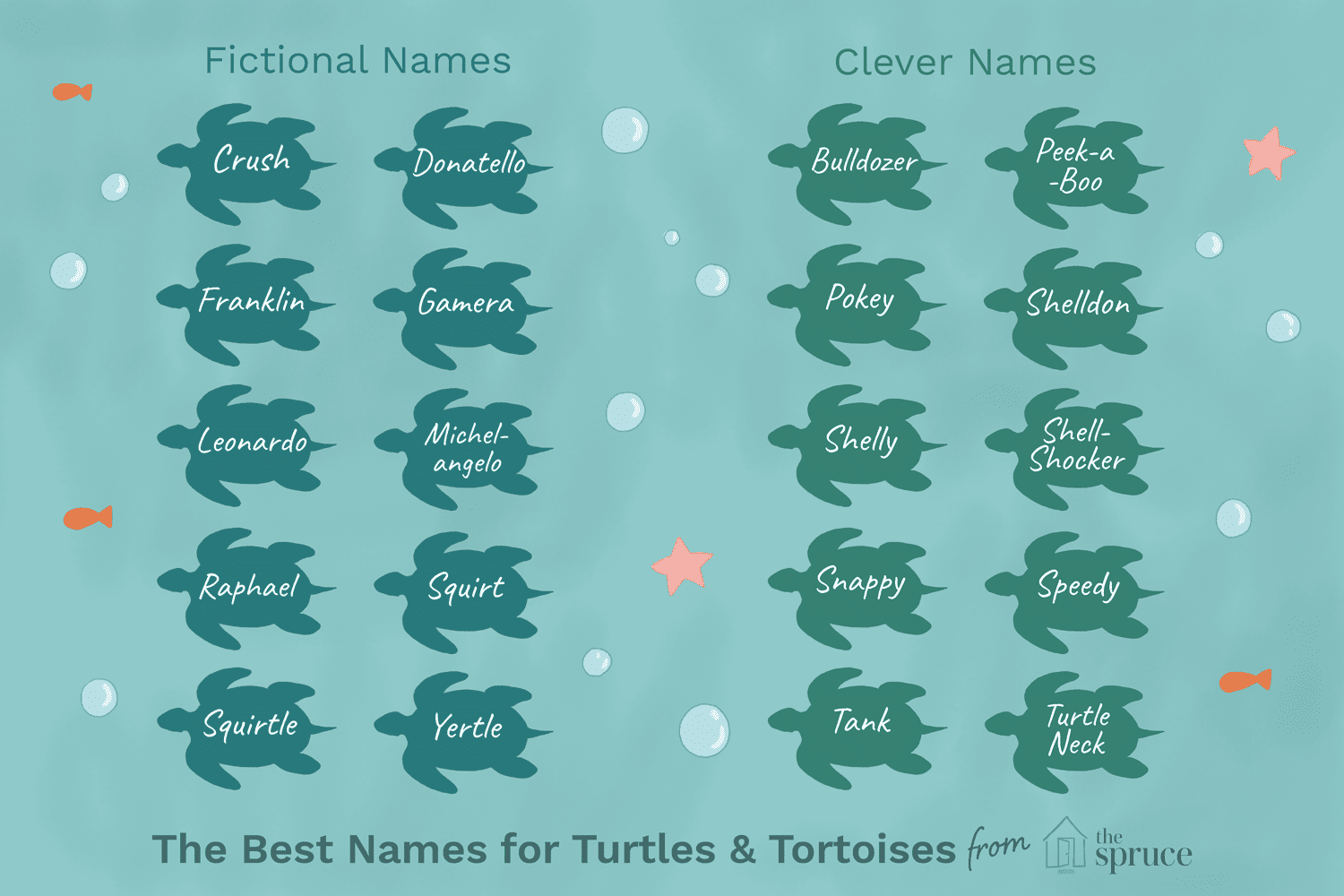 Как назвать черепаху? как выбрать имя для черепахи мальчика и девочки?