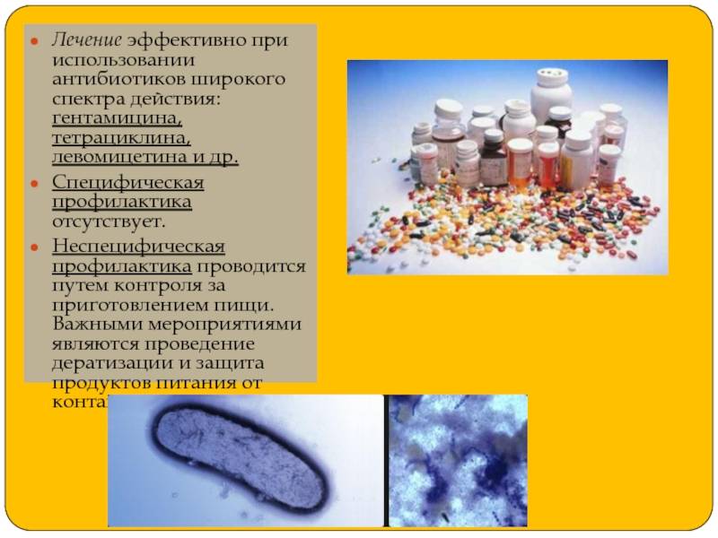 Пробиотики: как снизить вред антибиотиков | университетская клиника