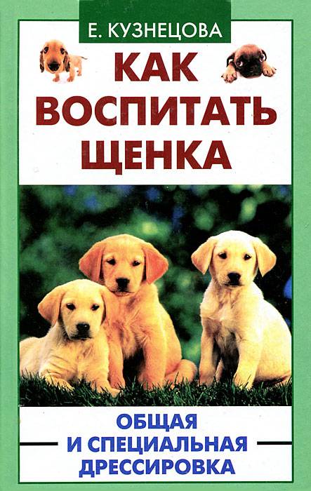 Щенку 2—3,5 месяца: начинаем дрессировку и воспитание | дрессировка и воспитание собак | povodok.by - журнал о собаках